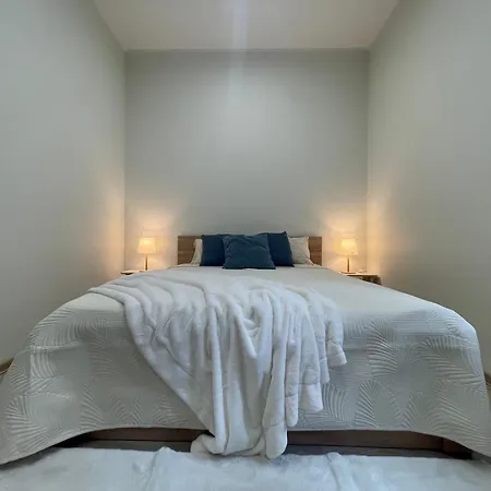 Bright 73M2 Apartment - Blaumana Street Central Daire