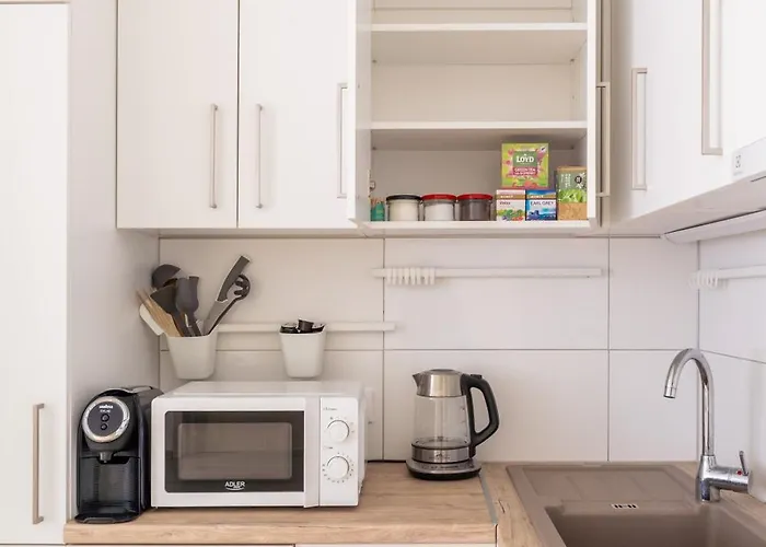 Bright 73M2 Apartment - Blaumana Street Central Riga