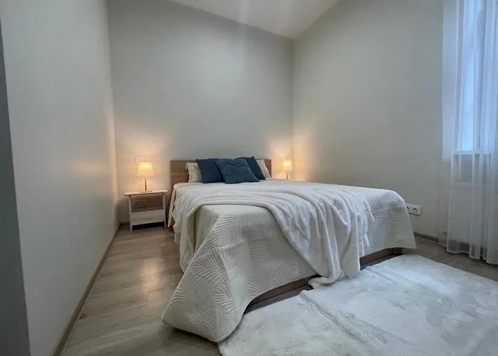 Bright 73M2 Apartment - Blaumana Street Central * Riga